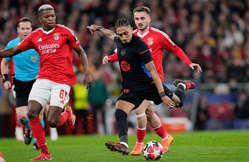 What's a Bingo Game?