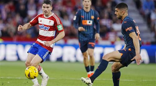 What's a Bingo Game?